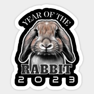 Year of the Rabbit 2023 Sticker